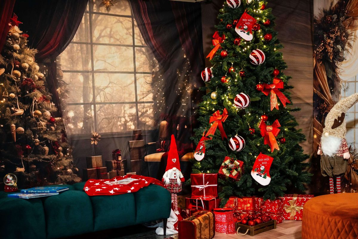 Setup foto la targ de Craciun Zooma